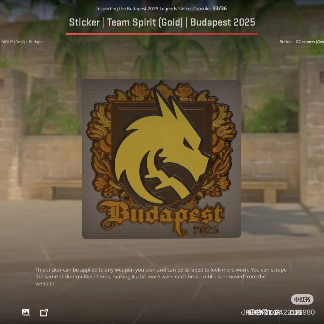 Team Spirit Budapest 2025 sticker